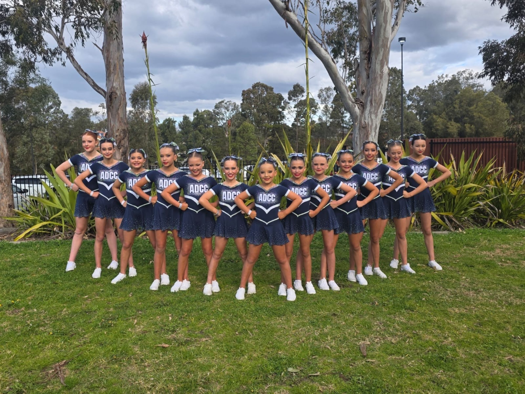 school's cover page